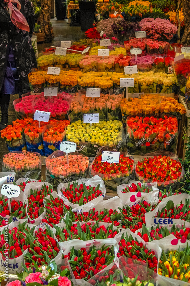 Flowers Amsterdam