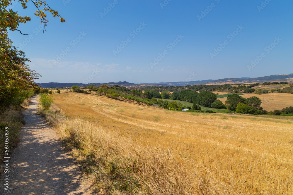 view of a crop field in Spain