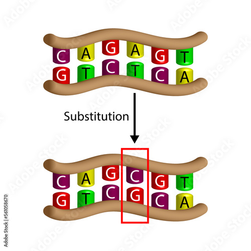 Substitution mutation, error during DNA replication, one nucleotide is replaced by a different nucleotide. Genomics, Scientific design, Vector illustration.