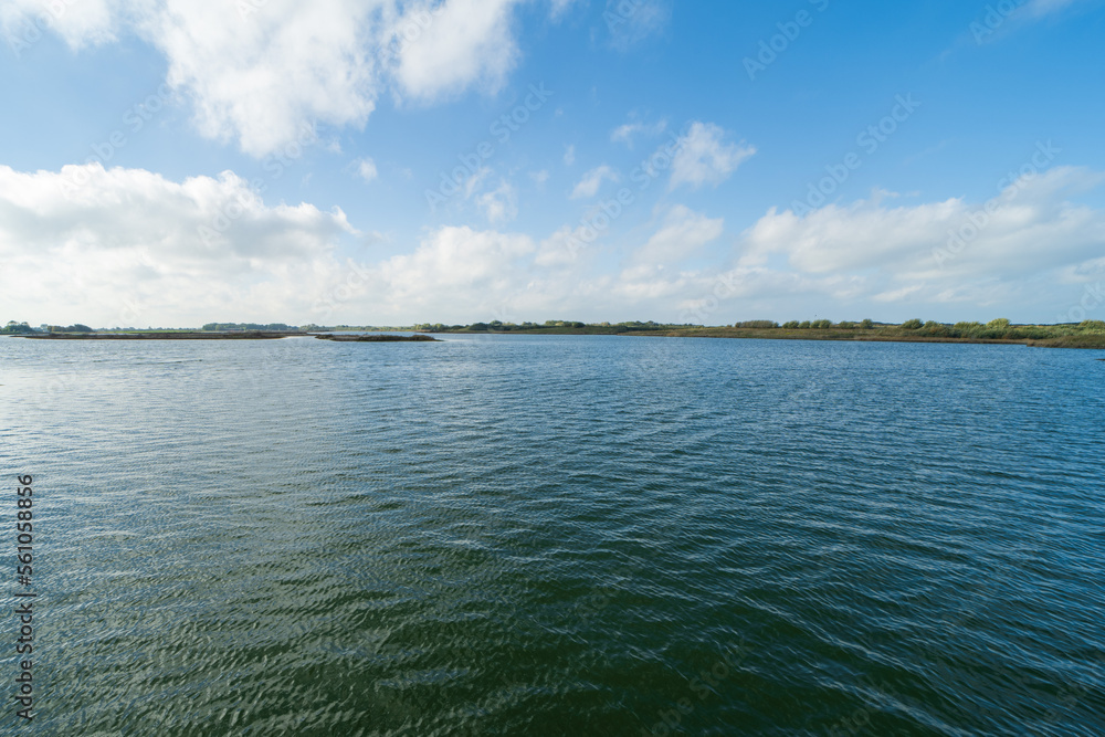 Nature reserve Waterdunen, the Netherlands