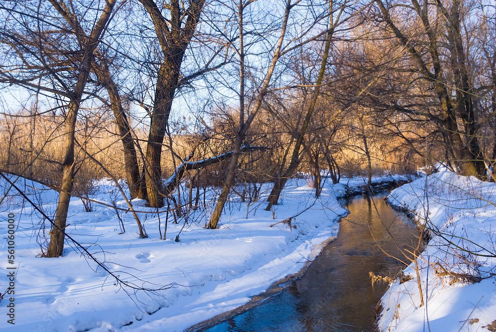 small brook flow among winter snowbound forest small brook flow among winter snowbound forest