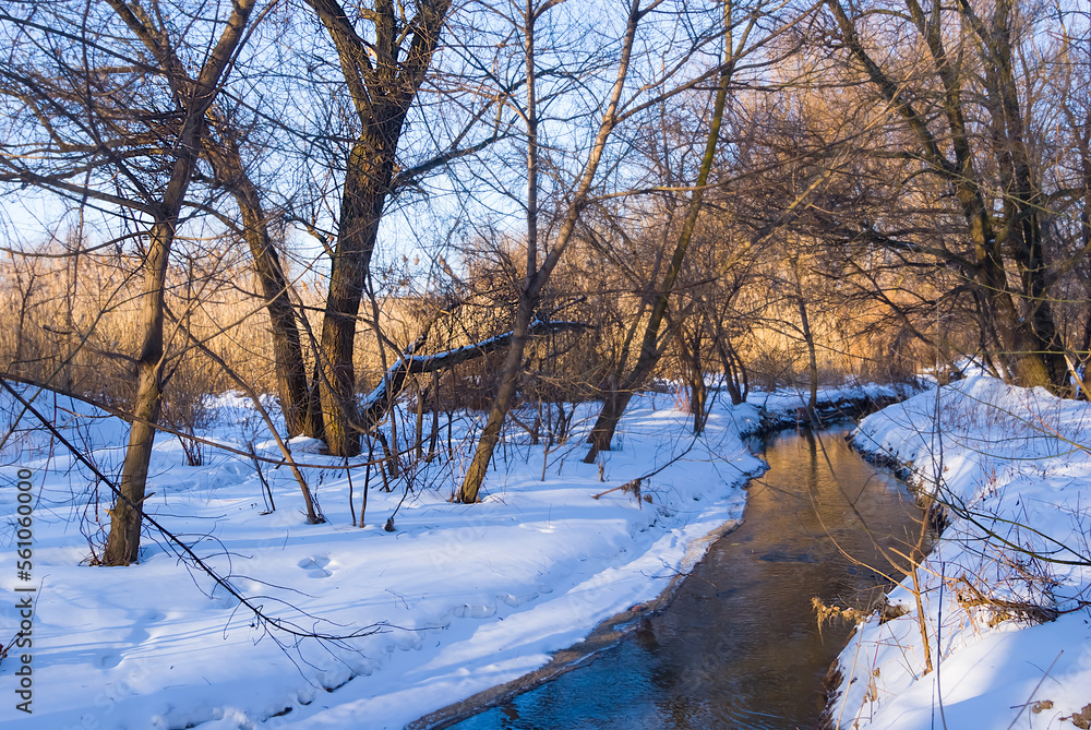 small brook flow among winter snowbound forest