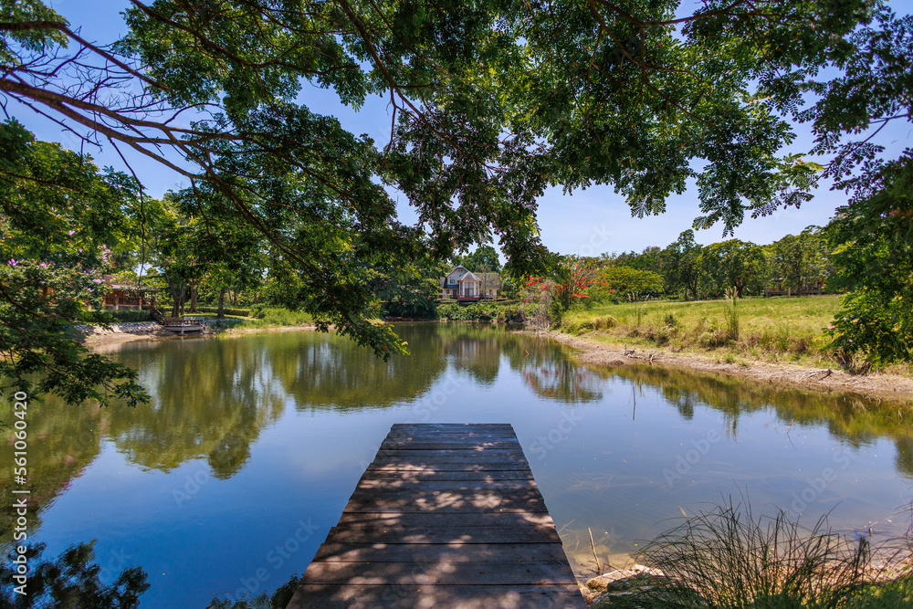 A wooden bridge extend into a pond. A wooden bridge extend into a pond.