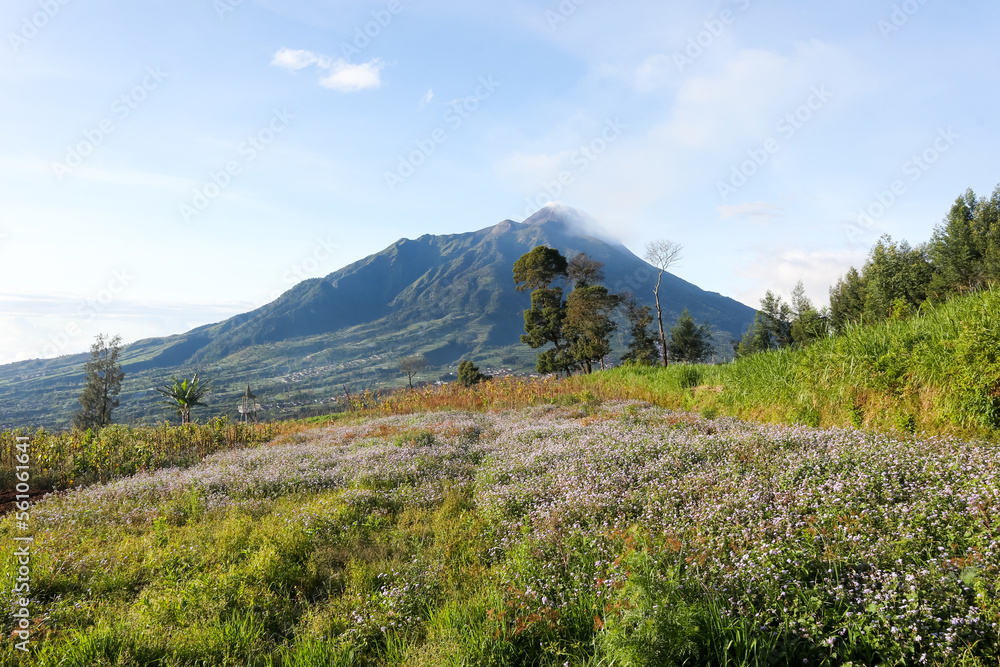 View of the Volcano in the Morning. view from the height of Mount Merapi Indonesia. Aerial View, One of the Active Volcanoes on the island of Java, Indonesia