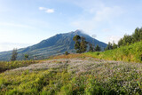View of the Volcano in the Morning. view from the height of Mount Merapi Indonesia. Aerial View, One of the Active Volcanoes on the island of Java, Indonesia