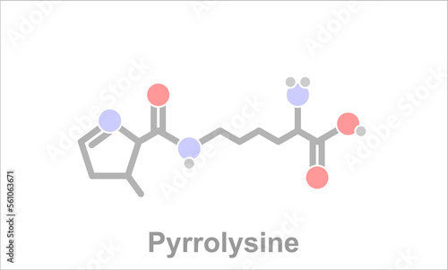 Simplified formula icon of the amino acid pyrrolysine. photo