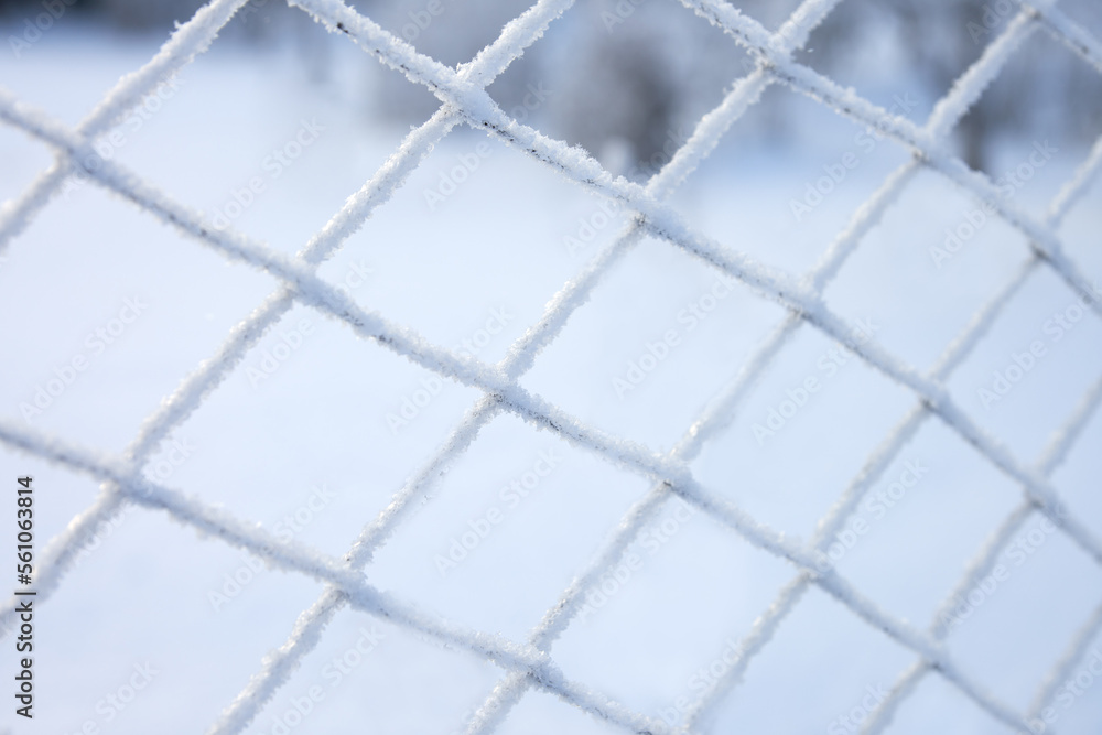 Fototapeta premium Mesh netting in needle-like frost crystals. Winter. Frost.