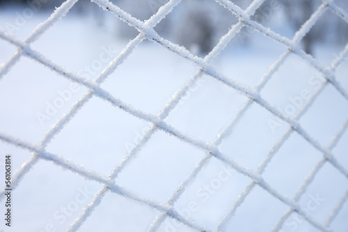Mesh netting in needle-like frost crystals. Winter. Frost.