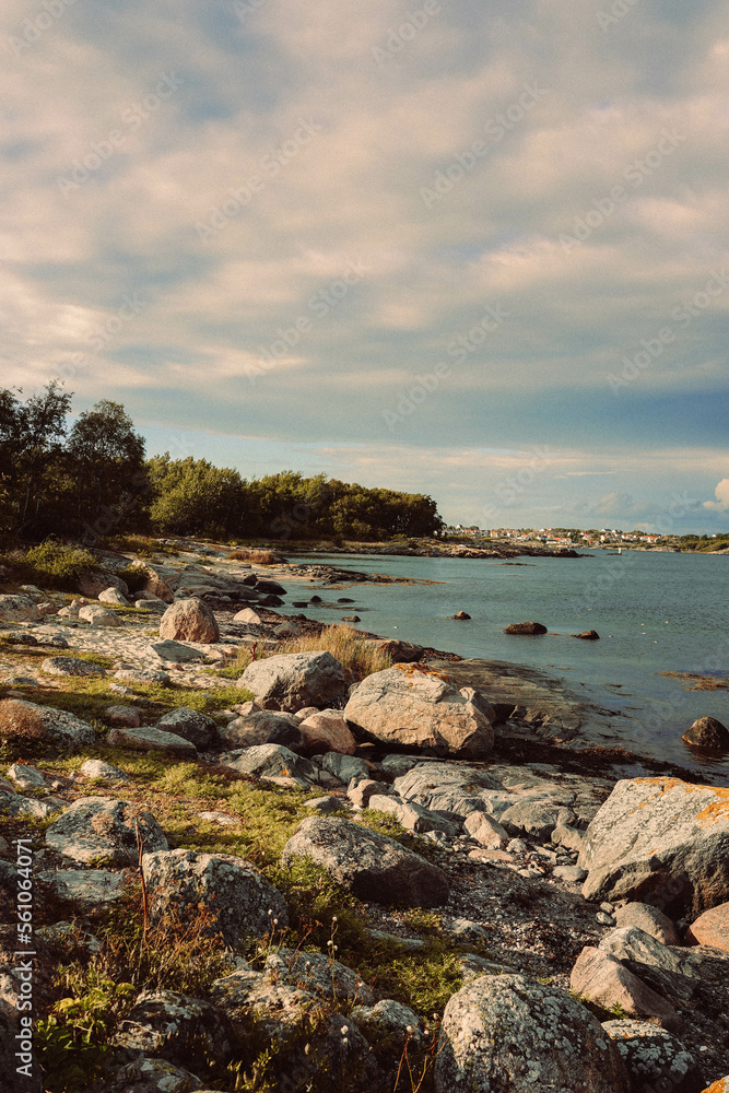 Fototapeta premium sunset on the coast in Sweden 