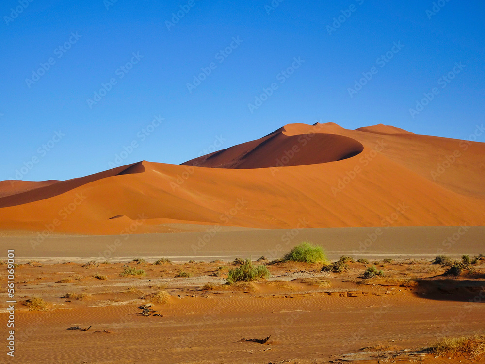 Sossusvlei in der Namib Wüste in Namibia