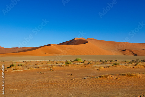 Sossusvlei in der Namib W  ste in Namibia