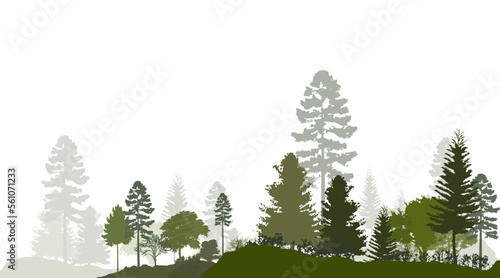Forest silhouette trees. Vector illustration of every tree isolated. Evergreen forest side view green shadow  for seamless border  architecture and landscape design drawing. 