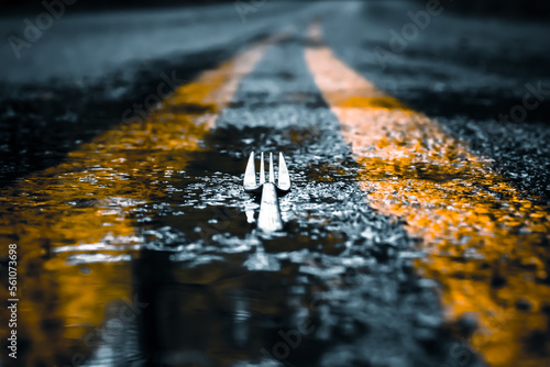 Fork in the Road