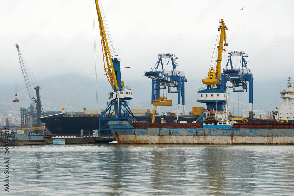 Berth of a sea cargo port with a variety of loading and unloading cranes and a bulk carrier for unloading.