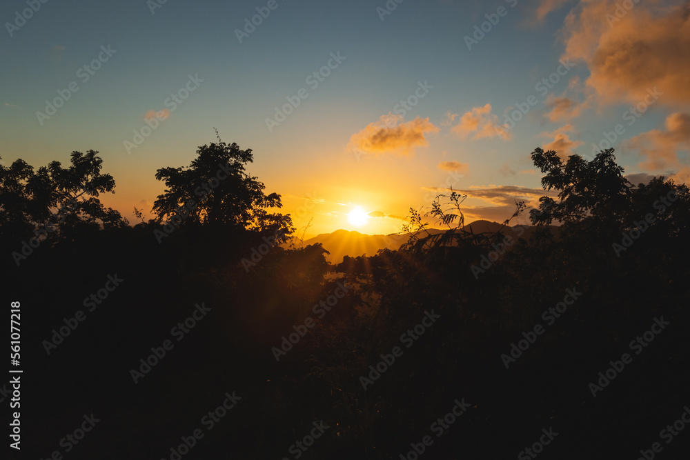 Golden sunset wide angle landscape between trees and mountains from puerto rico 
