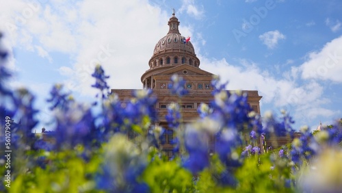 Bluebonnets at the Texas State Capitol in Austin photo
