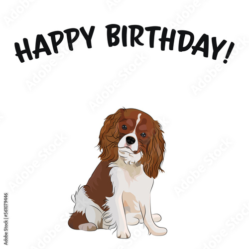 Happy birthday card with dog, holiday design. Present for a dog lover. Funny cartoon dog breed illustration.  Minimalistic greeting card.Fun Cavalier King Charles spaniel dog character party postcard.