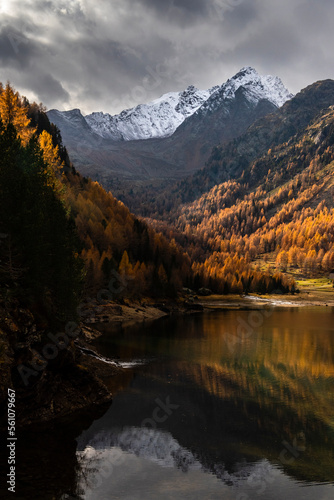 autumn in the mountains