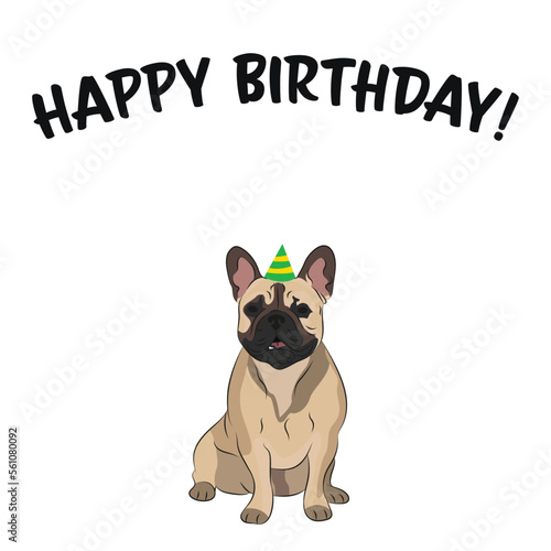 Happy birthday card with dog, holiday design. Present for a dog lover. Funny cartoon dog breed illustration.  Minimalistic greeting card. Fun French Bulldog dog in hat character party postcard.