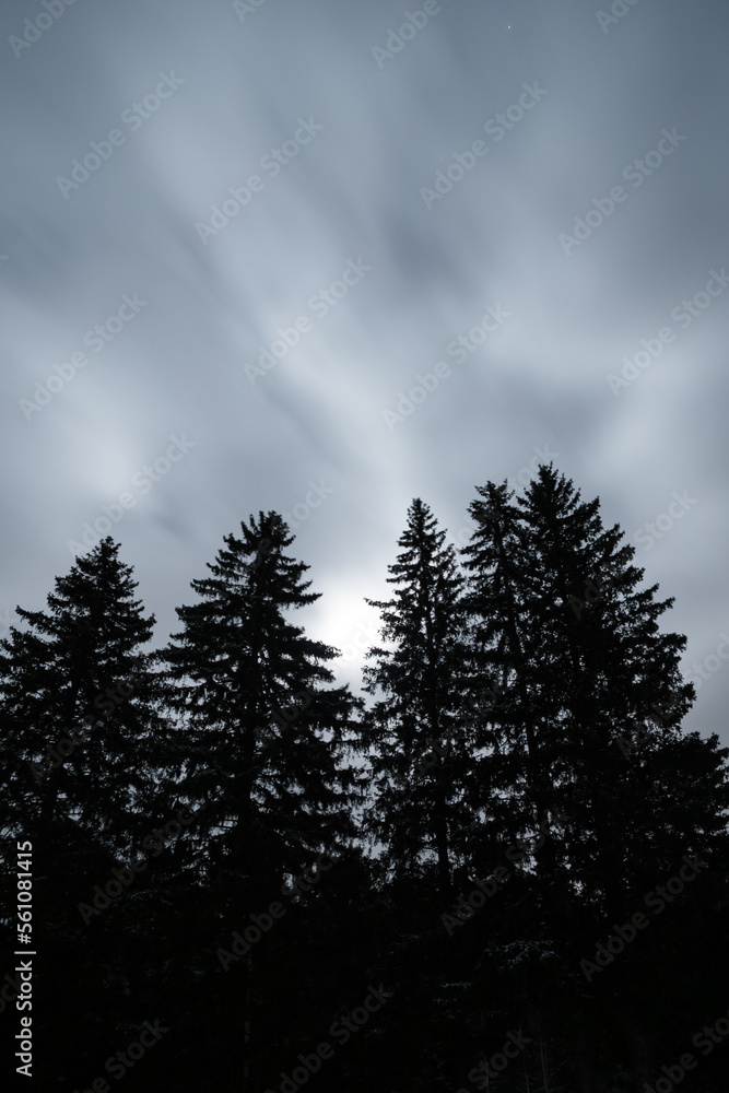 Windy night and moonlight Windy night and moonlight