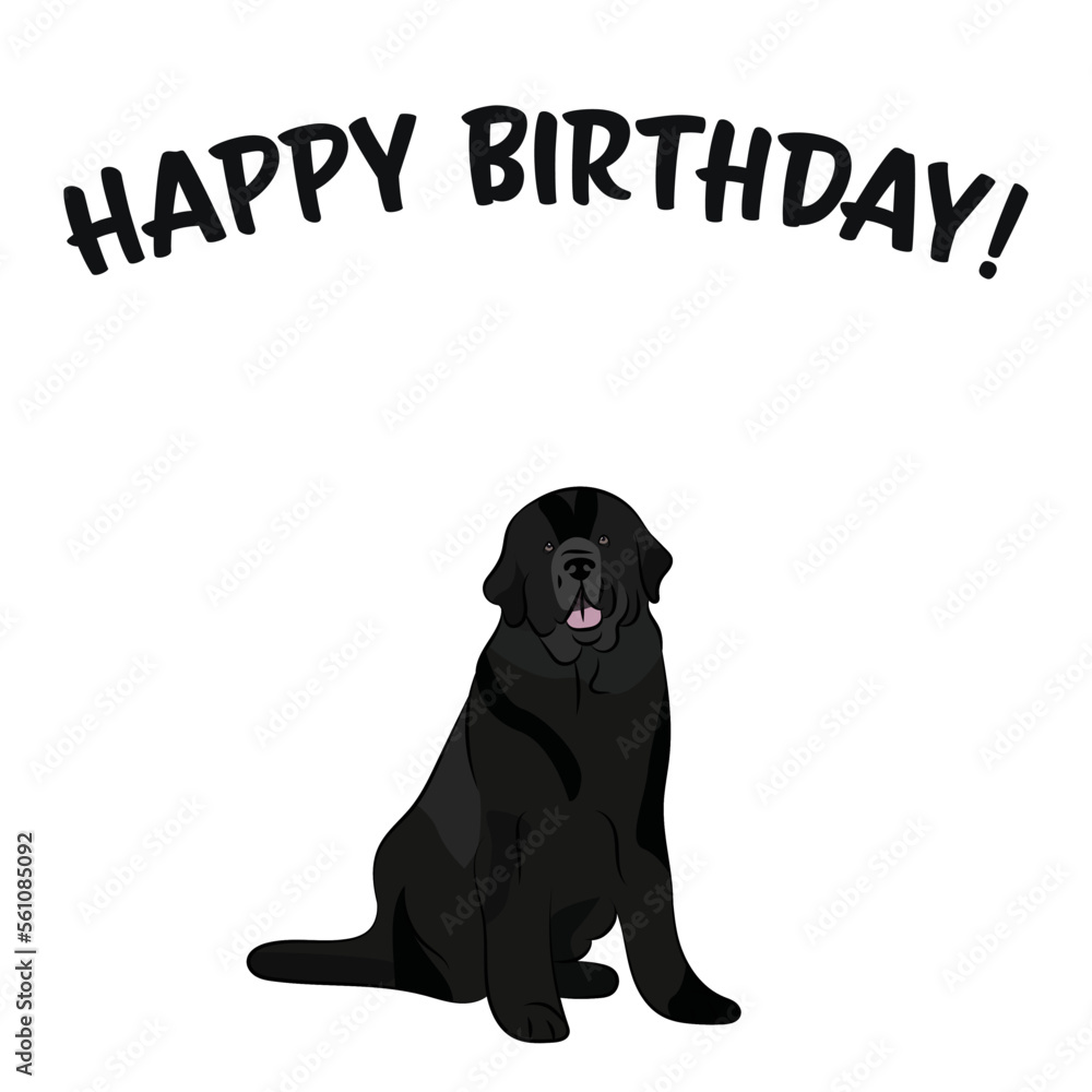 Happy birthday card with dog, holiday design. Present for a dog lover. Funny cartoon dog breed illustration. Minimalistic greeting card. Fun sitting Newfoundland dog in hat character postcard. Happy birthday card with dog, holiday design. Present for a dog lover. Funny cartoon dog breed illustration. Minimalistic greeting card. Fun sitting Newfoundland dog in hat character postcard.
