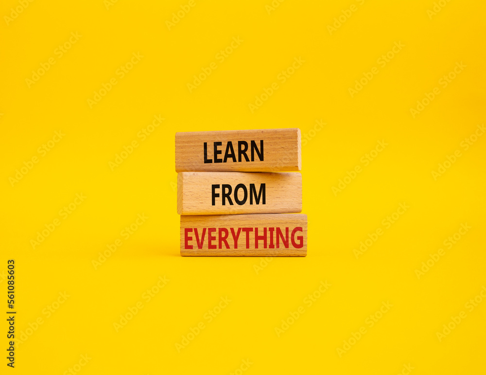 Learn from Everything symbol. Concept words Learn from Everything on wooden blocks. Beautiful yellow background. Business and Learn from Everything concept. Copy space. Learn from Everything symbol. Concept words Learn from Everything on wooden blocks. Beautiful yellow background. Business and Learn from Everything concept. Copy space.