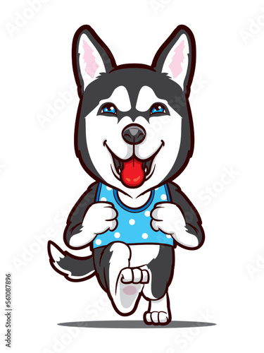 Siberian Husky is a running dog mascot