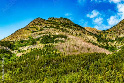 King Edward Upper Waterton Lakes Waterton Lakes National Park Alberta Canada