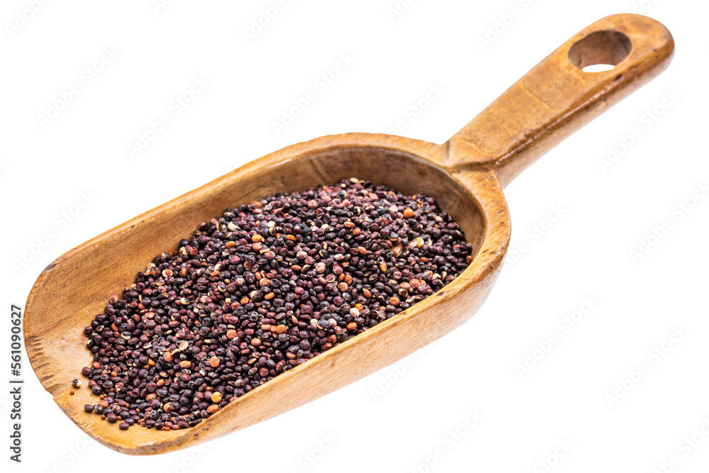 gluten free black quinoa grain on a rustic wooden scoop, isolated on transparent background gluten free black quinoa grain on a rustic wooden scoop, isolated on transparent background