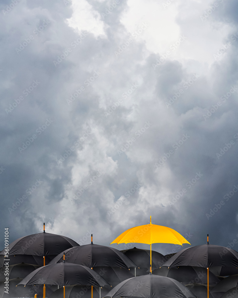  Yellow umbrella in rain