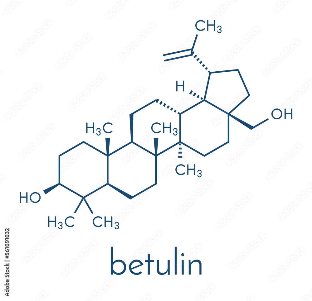 Betulin drug molecule. Isolated from birch tree bark. Skeletal formula.
