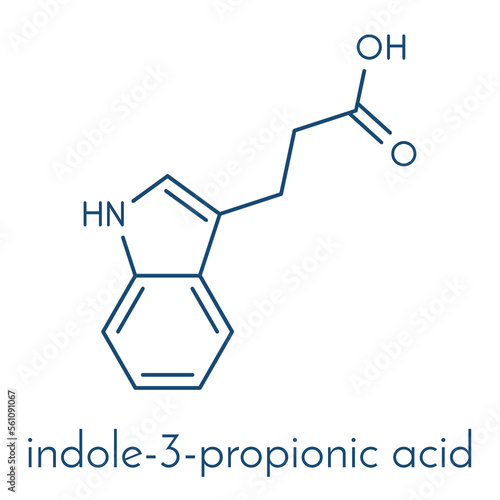 indole-3-propionic acid or IPA molecule. Skeletal formula.