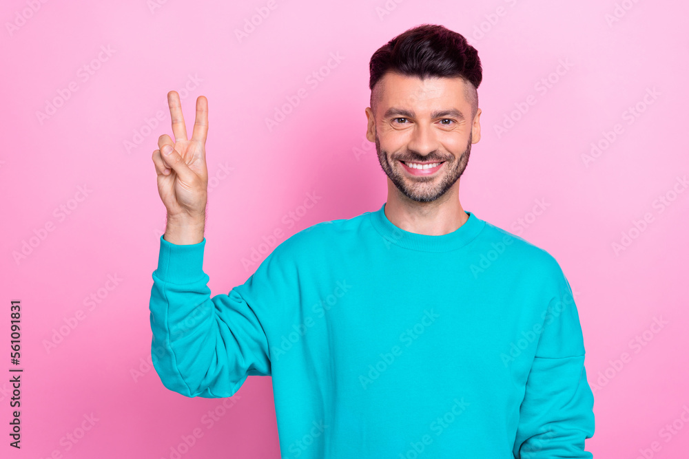 Naklejka premium Photo of cheerful toothy beaming smile brunet hair guy show v-sign wear blue jumper no loser only victory v-sign isolated on pink color background