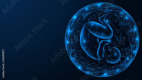 Human embryo in a spherical shell. Polygonal design of interconnected lines and points. Blue background.
