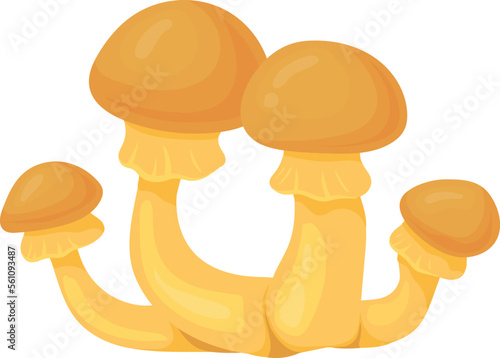 Honey fungus icon. Cartoon yellow cap mushroom