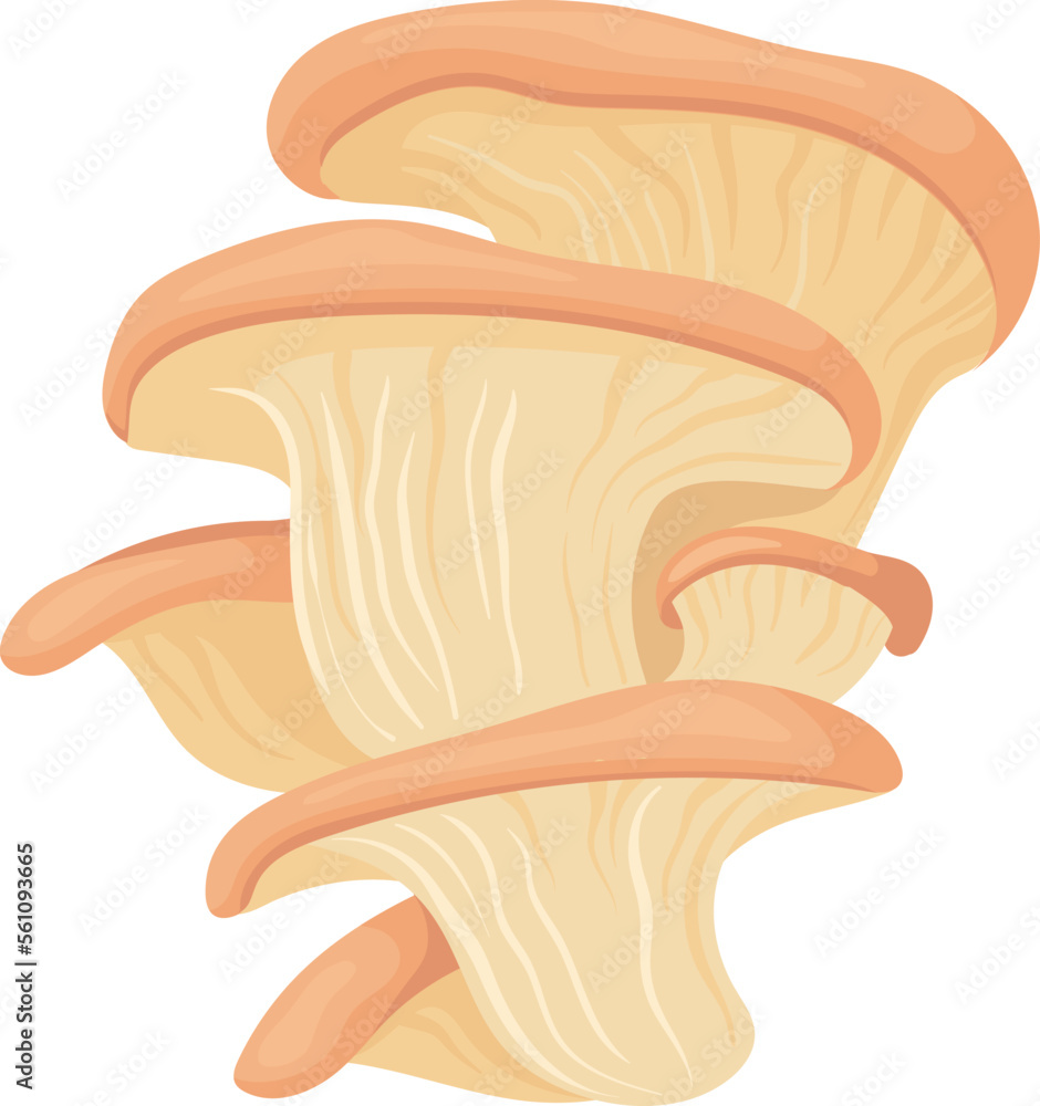 Oyster fungus cartoon icon. Forest wild mushroom Oyster fungus cartoon icon. Forest wild mushroom