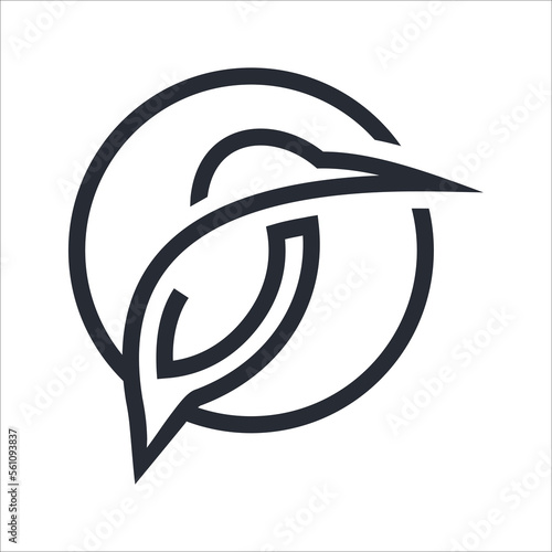 Vector kingfishers bird (Alcedo atthis) on white background. Bird Design. Kingfishers logo or icon.