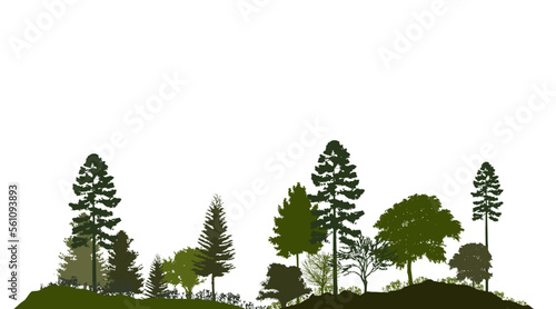 Forest silhouette trees. Vector illustration of every tree isolated. Evergreen forest side view green shadow, for seamless border, architecture and landscape design drawing. 
