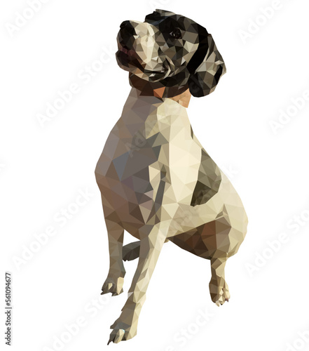 Low poly English pointer dog sitting, on white background, isolated. Vector illustration of a pet