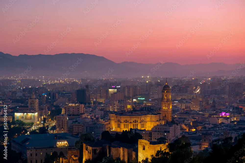 Iconic aerial view of the Cathedral of Malaga at dusk, panorama, soft colours