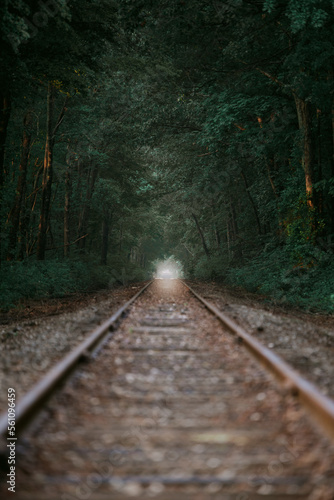 railroad in the forest