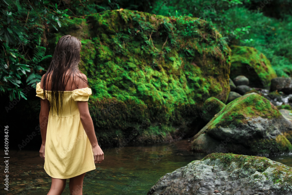 Beautiful young woman in dress near mountain river outdoors, back view. Space for text Beautiful young woman in dress near mountain river outdoors, back view. Space for text