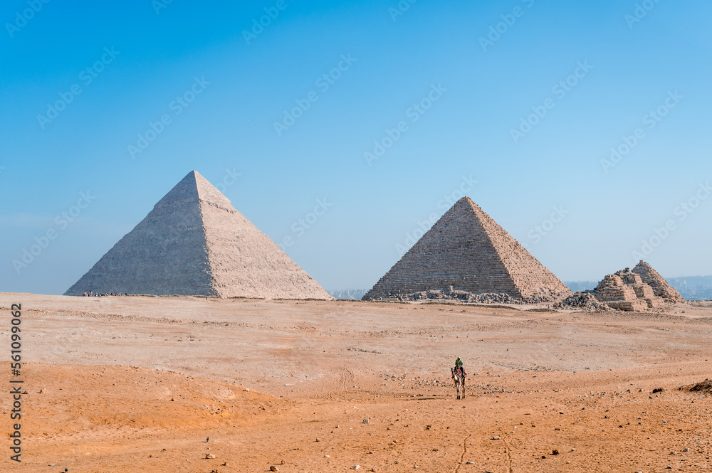 Pyramids with a camel walking in the desert of El Cairo, Egypt