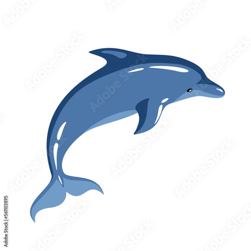 Blue dolphin on a white background