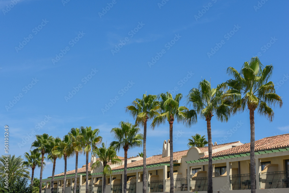 Exterior view of buildings with palm tree lined balconies