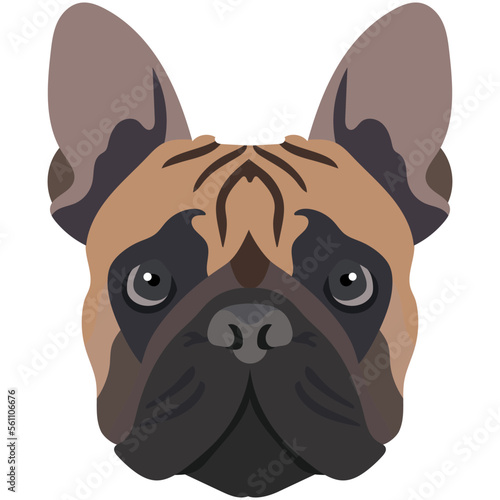 The face of a french bulldog. Vector portrait of a dog head isolated on white background.