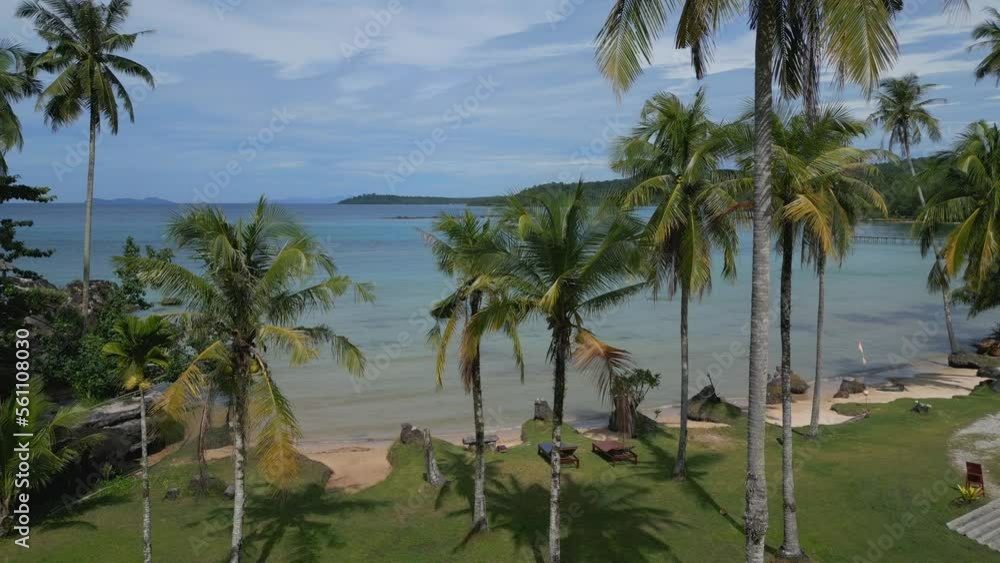 Coconut palm trees on bay beach ko kut thailand. Great aerial view flight drone Coconut palm trees on bay beach ko kut thailand. Great aerial view flight drone