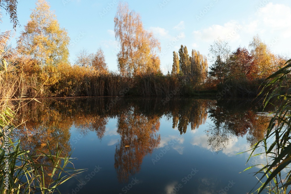 Fototapeta premium Picturesque view of lake and trees on autumn day