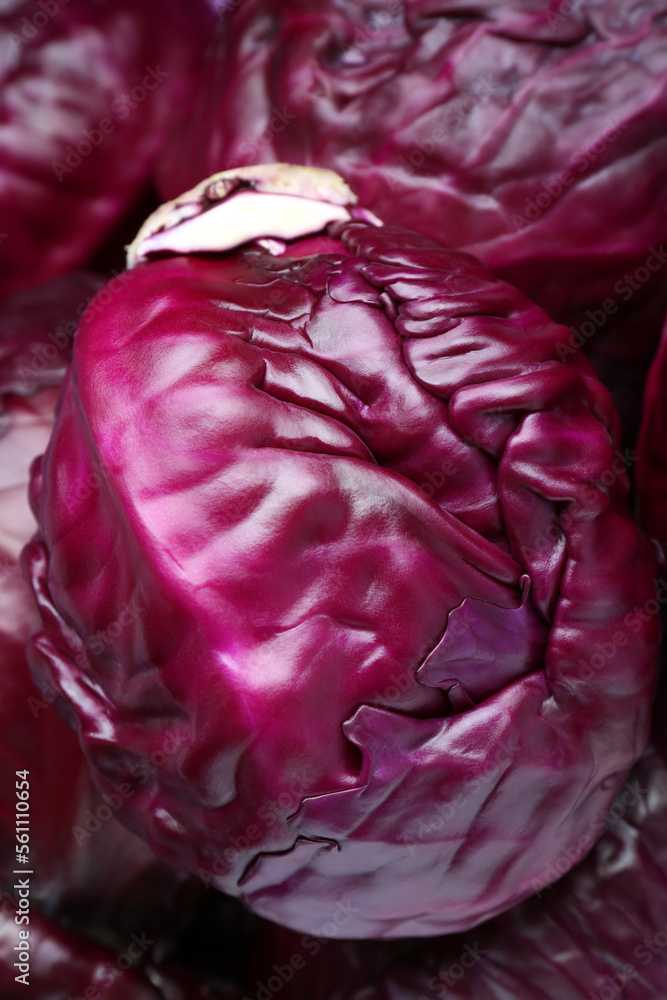 Fototapeta premium Fresh ripe red cabbages as background, top view