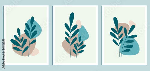 Set of three abstract pictures with shapes and plants. vector illustration	